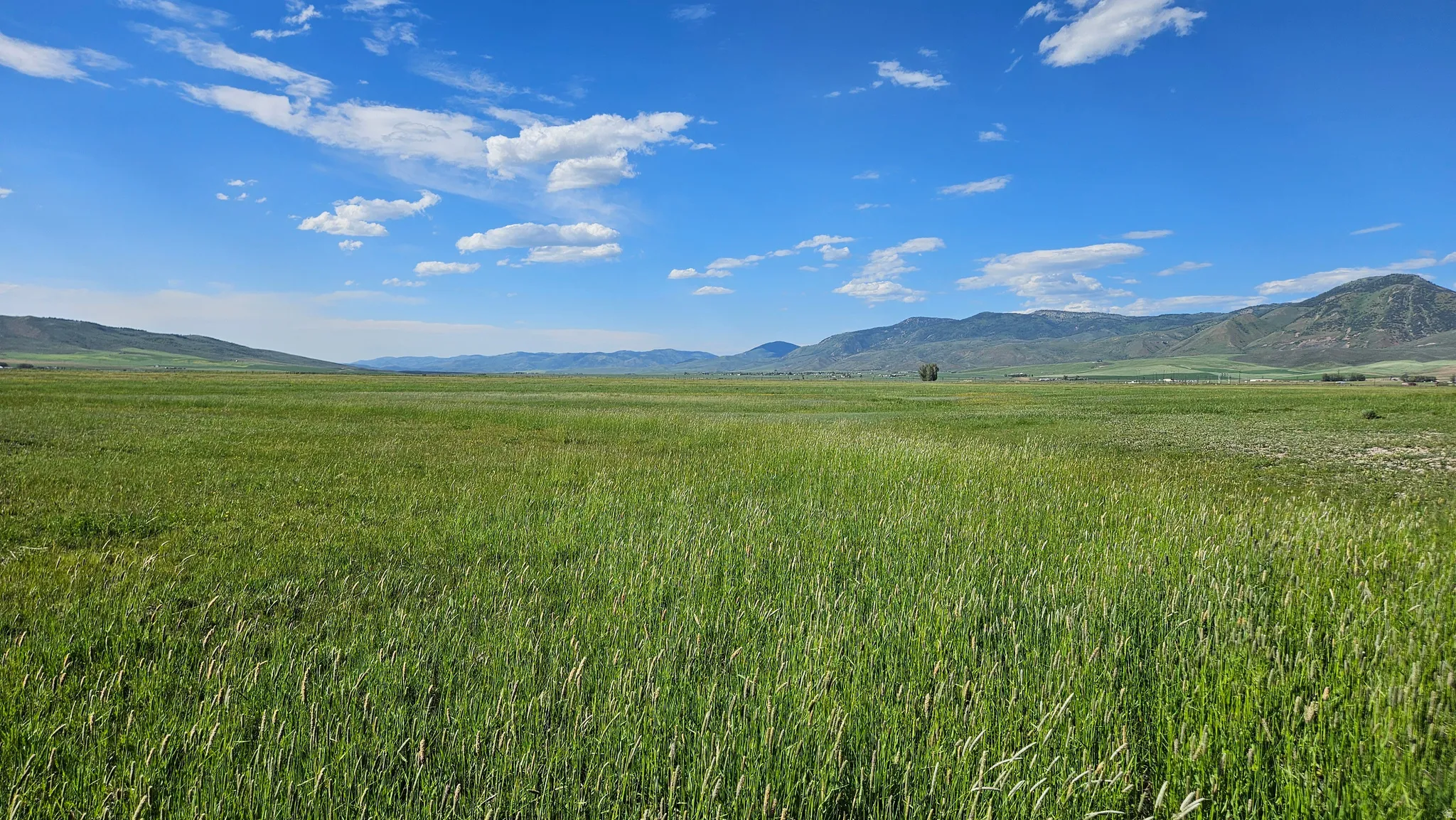 Expansive green field under a clear blue sky, featuring distant rolling hills and a mountainous backdrop