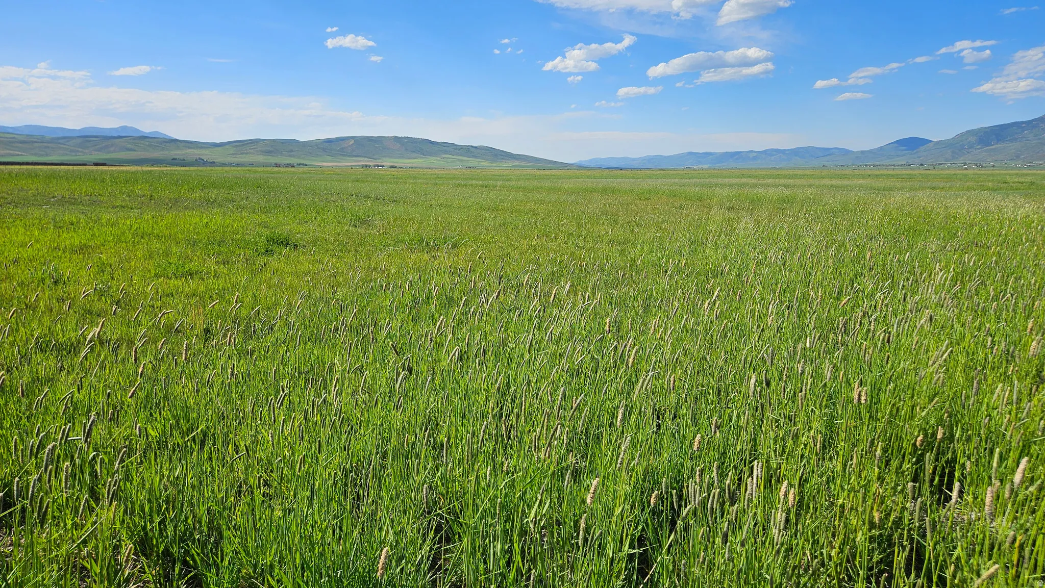 Expansive green field with natural vegetation, bordered by distant rolling hills under a clear blue sky
