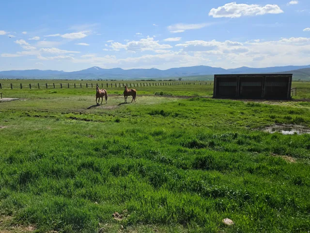 Expansive green pastures featuring a wooden fence line, a watering trough, and a three-stall shelter