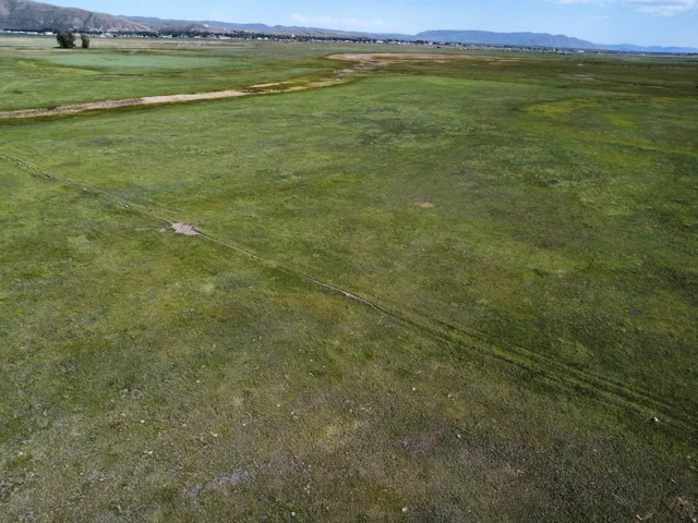 Expansive green field with distant mountain backdrop