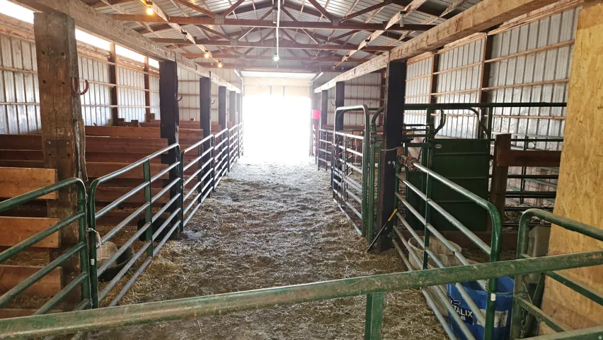 Barn interior featuring substantial wood post-and-beam construction, metal wall panels, a high open ceiling, and multiple metal corrals