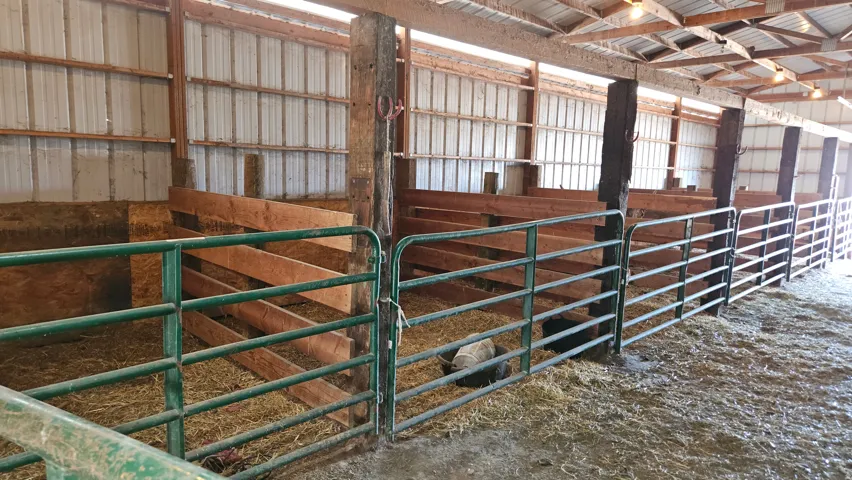 Stable