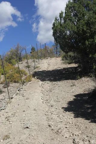 View of landscape