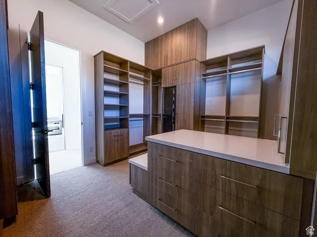 Walk in closet featuring light carpet
