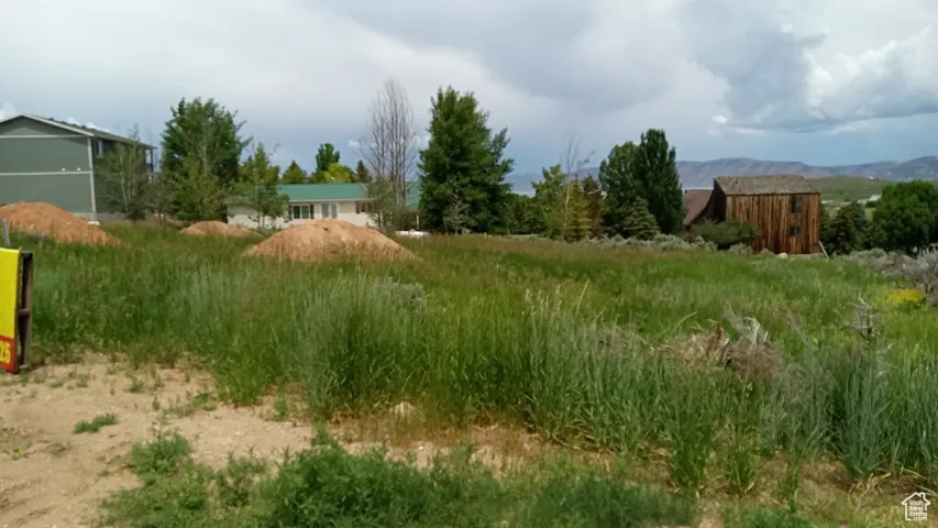 View of yard featuring an outbuilding, a mountain view, and a storage shed