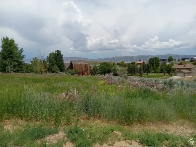 View of yard with a mountain view and a rural view