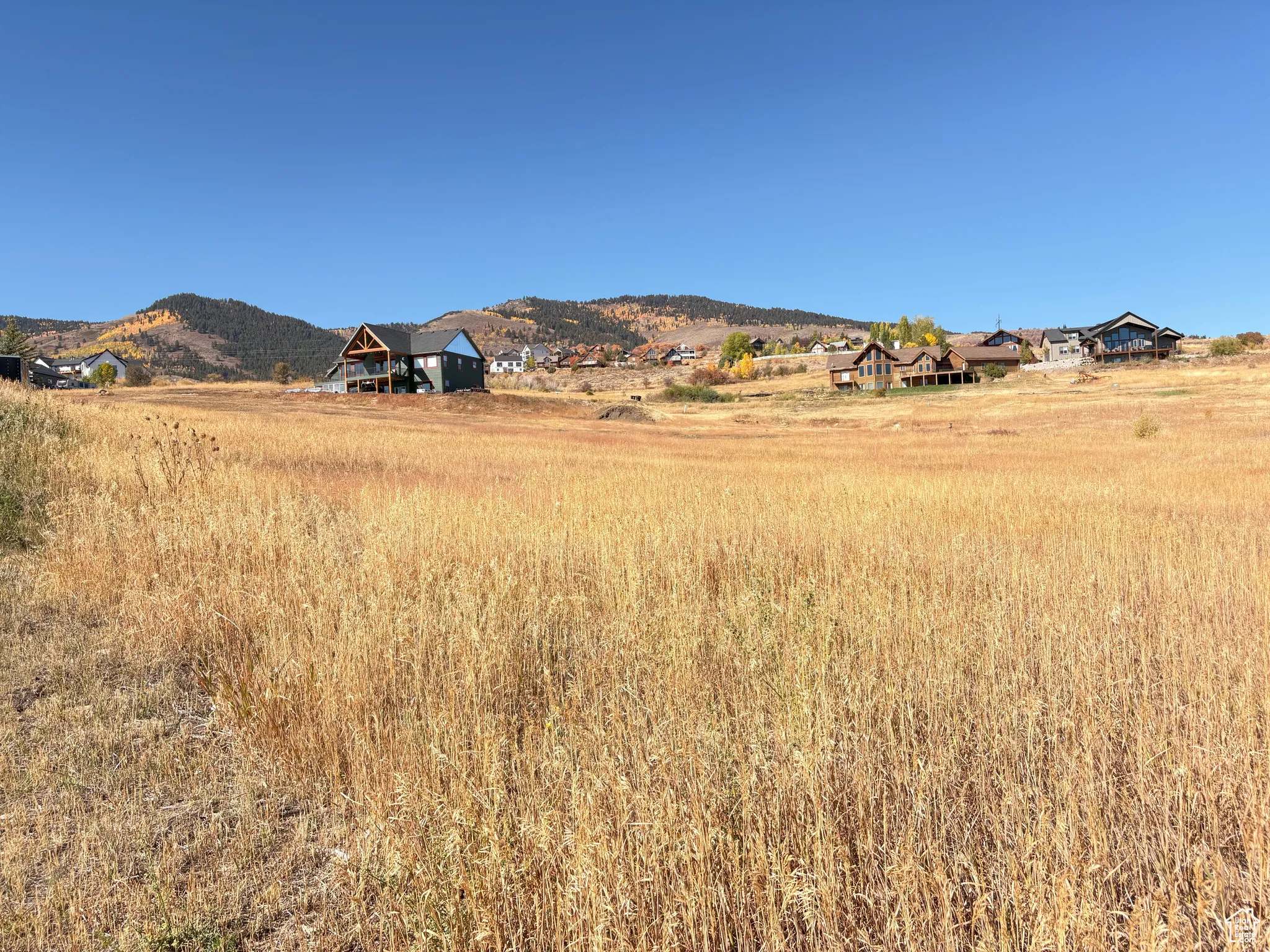 Lot Mountain View