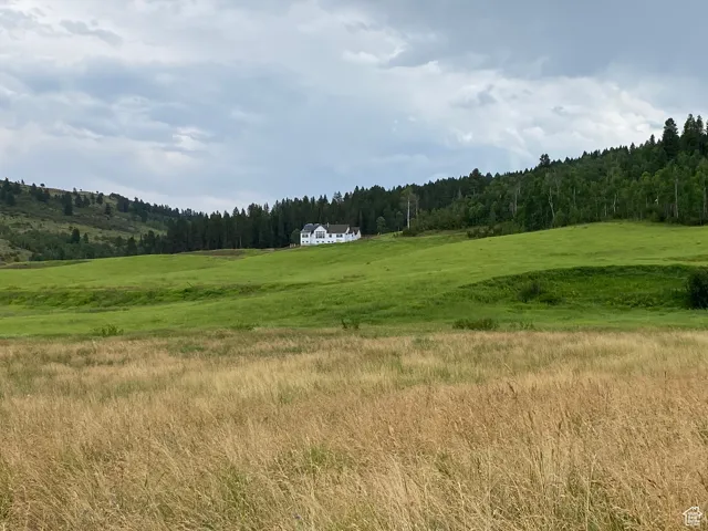 View of local wilderness featuring a rural view and a forest view