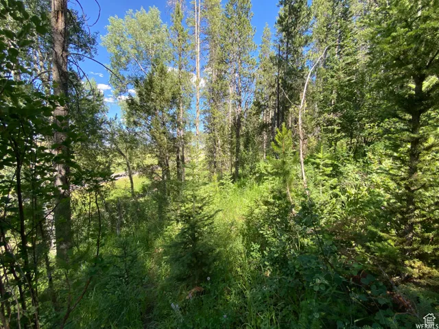 View of landscape with a view of trees