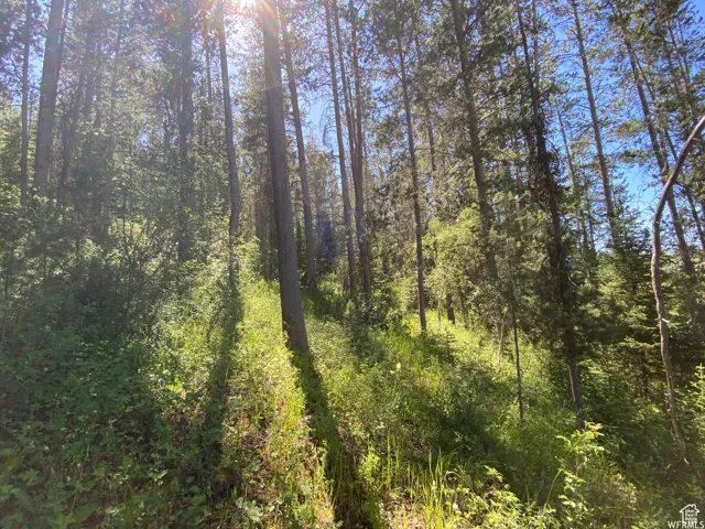 View of landscape featuring a forest view