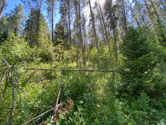 View of nature featuring a view of trees
