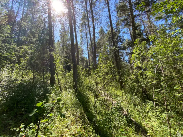 View of landscape featuring a view of trees