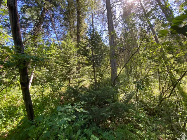 View of landscape featuring a forest view