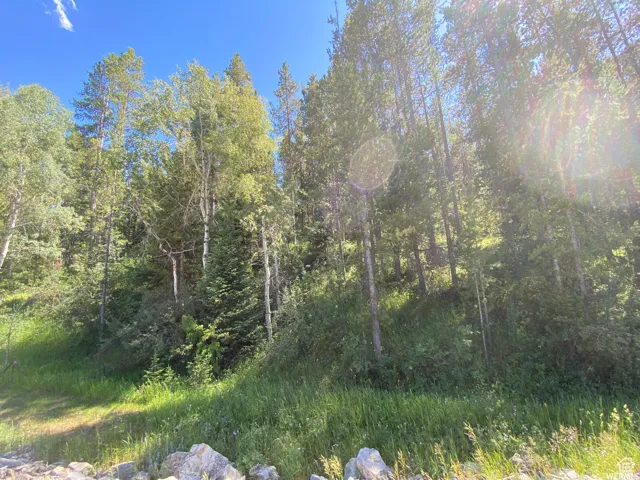 View of landscape featuring a forest view