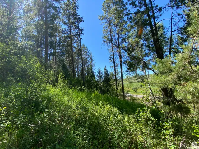 View of landscape