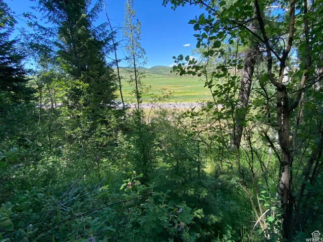 View of landscape