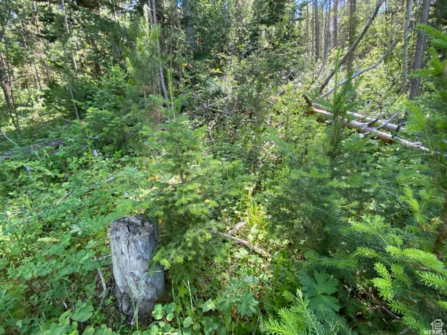 View of landscape featuring a forest view