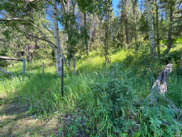View of nature featuring a forest view