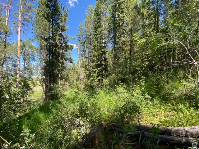 View of landscape with a view of trees