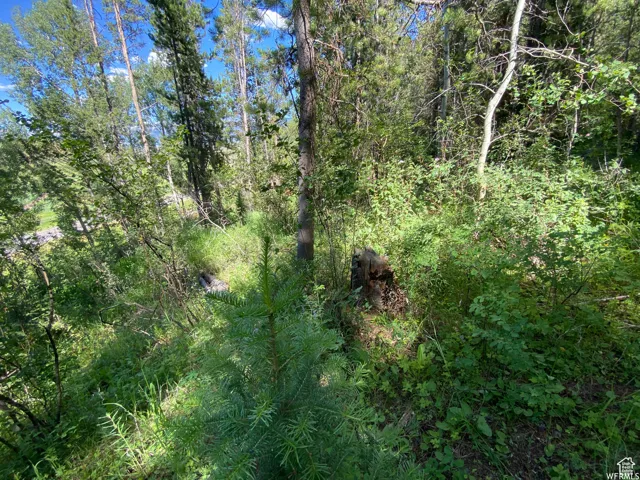 View of landscape featuring a view of trees