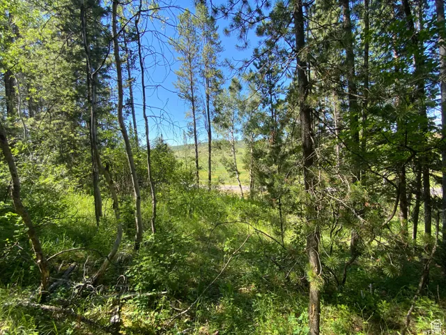 View of landscape featuring a view of trees