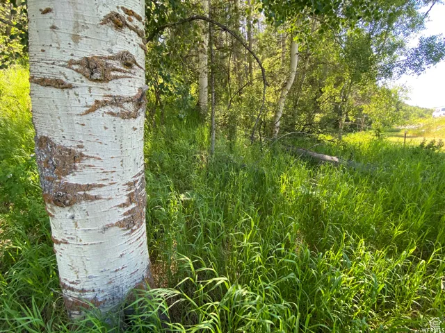 View of landscape