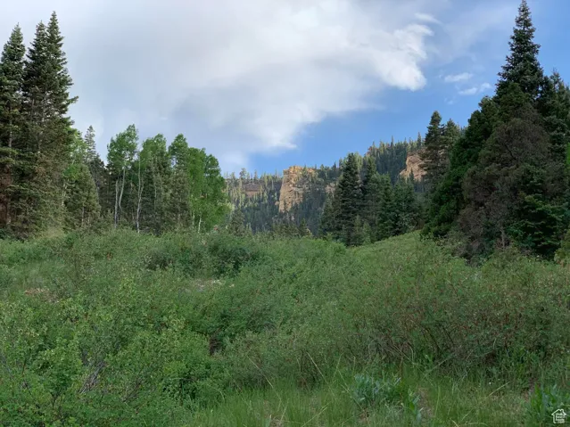 View of landscape featuring a view of trees