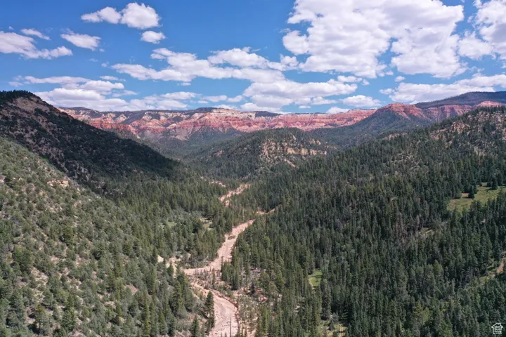Property view of mountains featuring a wooded view