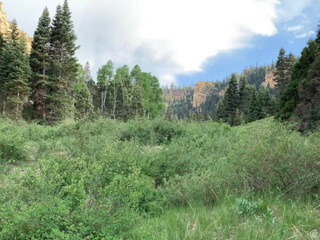 View of nature featuring a view of trees