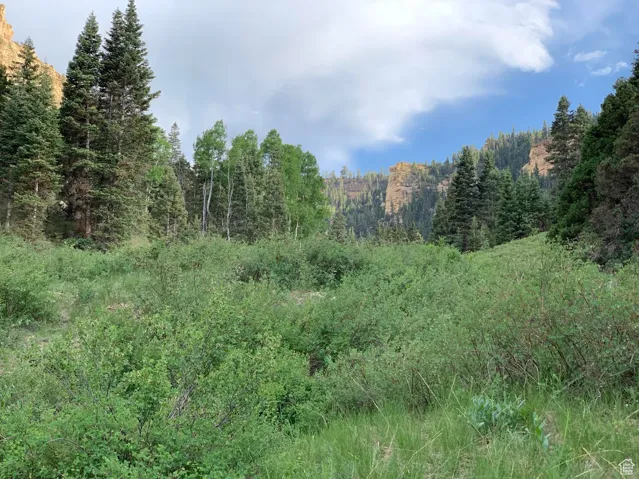 View of local wilderness featuring a view of trees