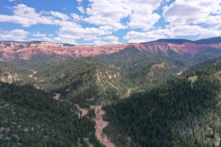 Property view of mountains with a wooded view