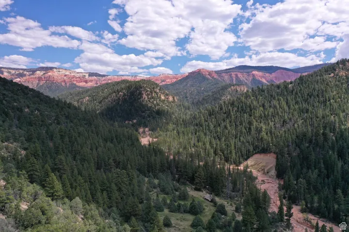 View of mountain feature featuring a wooded view