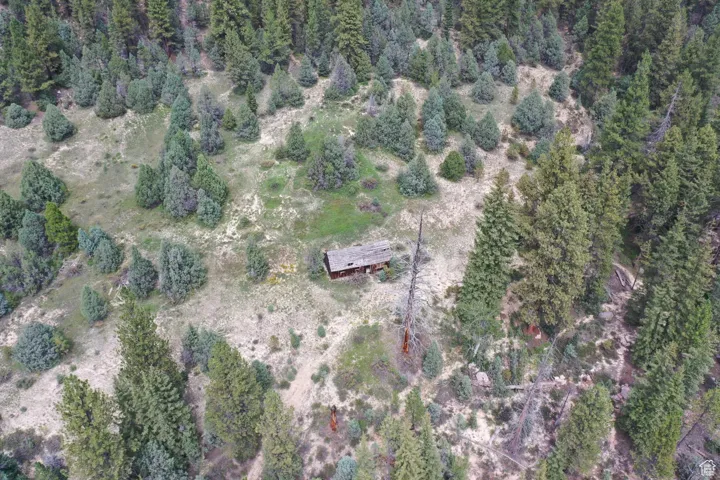 Drone / aerial view featuring a wooded view