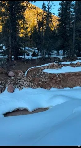 View of yard layered in snow