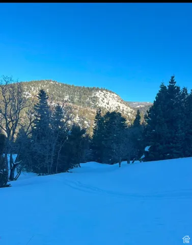 Property view of mountains with a view of trees