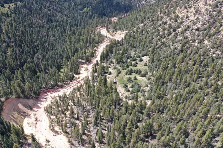 Drone / aerial view with a forest view