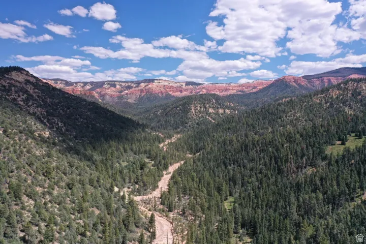 Property view of mountains featuring a forest view