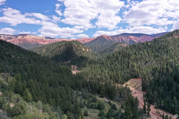 Mountain view featuring a wooded view