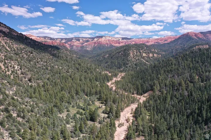 Property view of mountains featuring a view of trees