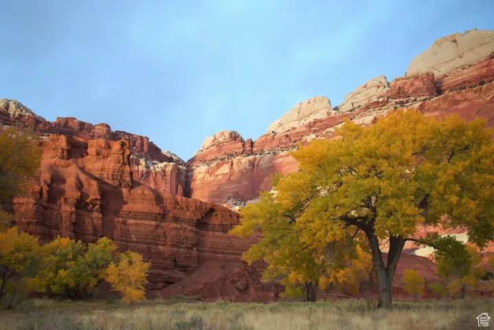 Fall colors in Capitol Reef National Park