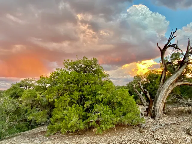 Upper desert view at sunset