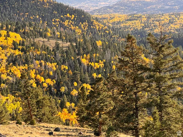 Fall colors on Boulder Mountain