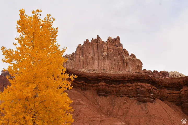 Fall colors in Capitol Reef National Park