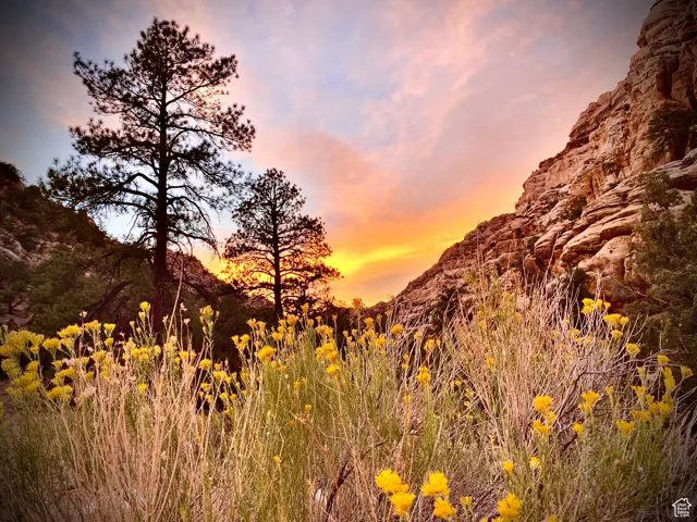 Boulder Mountain