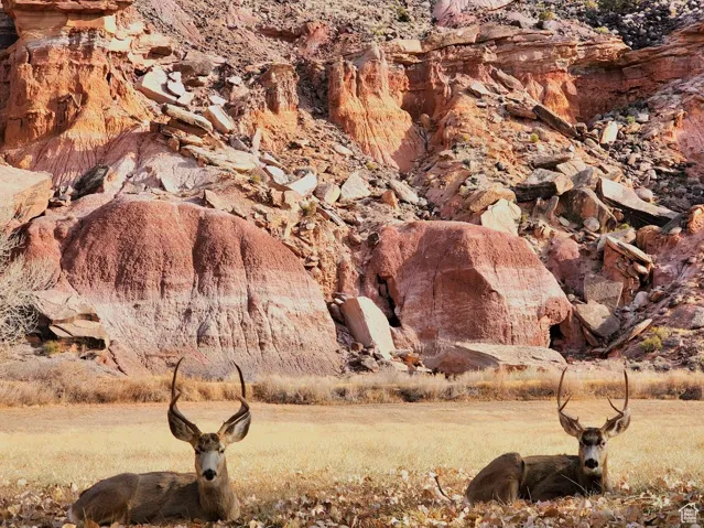 Capitol Reef National Park