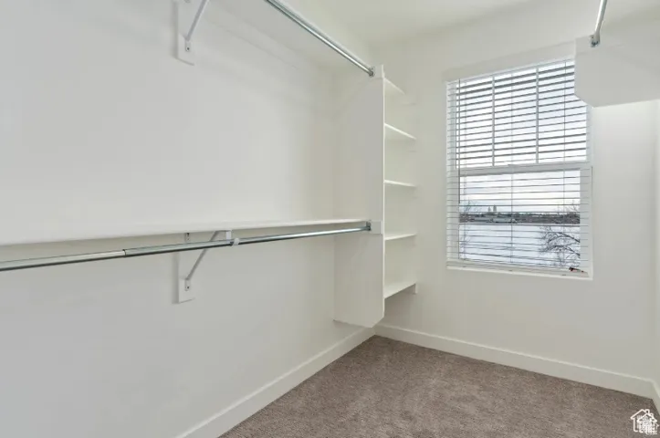 Walk in closet featuring carpet