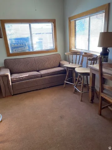 Carpeted living room with healthy amount of natural light