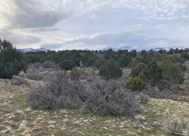 View of mountain feature featuring a wooded view
