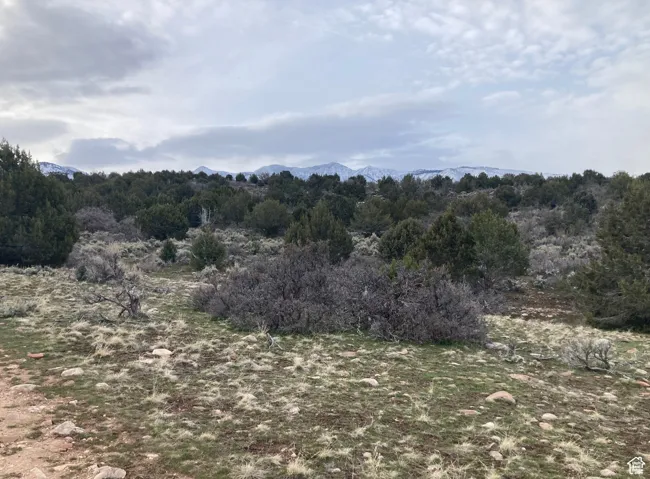 View of landscape with a wooded view and a mountain view