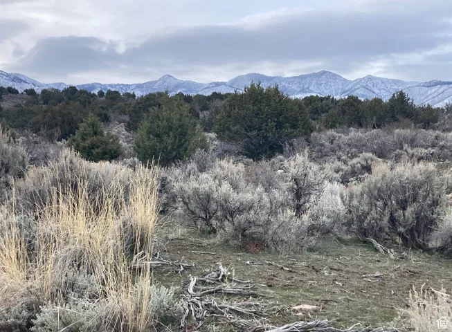 Property view of mountains featuring a view of trees